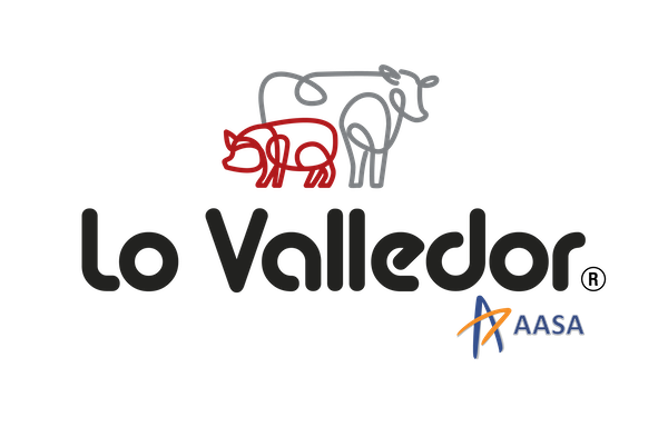 Lo Valledor